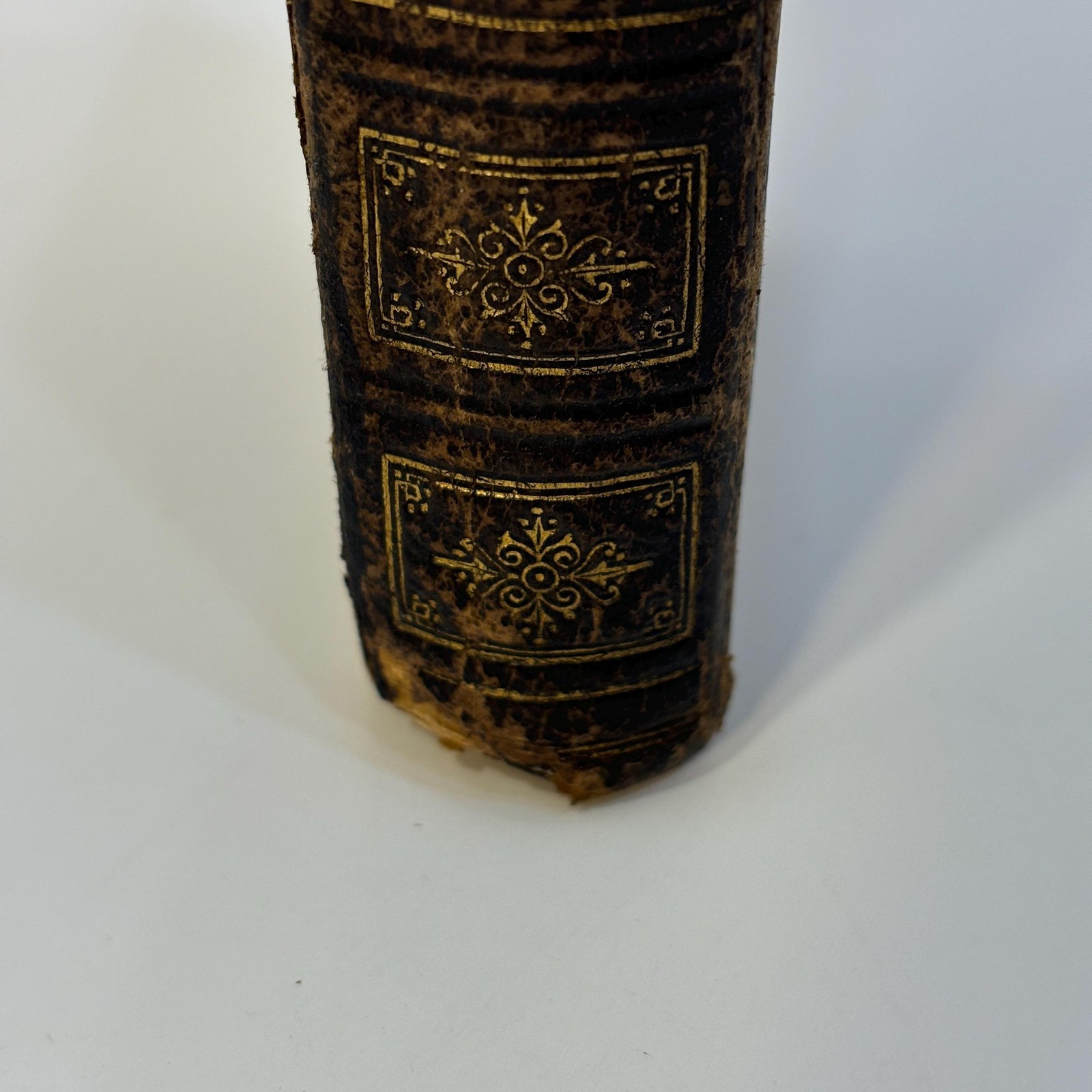 Das Paradies Gärtlein. Ein katholisches Gebetbuch enthaltend eine Auswahl der besten Andachtsübungen. Mit bischöflicher Approbation. Translated: The Little Garden of Paradise. A Catholic prayer book containing a selection
of the best devotional exercises. With Episcopal approval. — photograph 9.