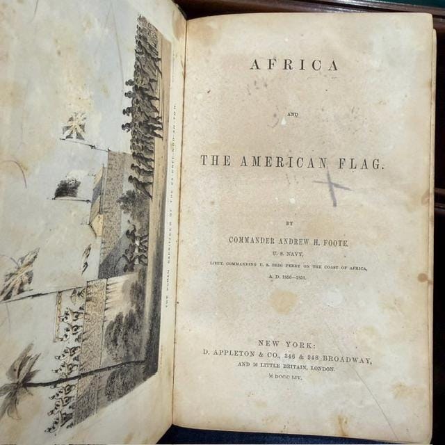Africa and The American Flag — photograph 2.