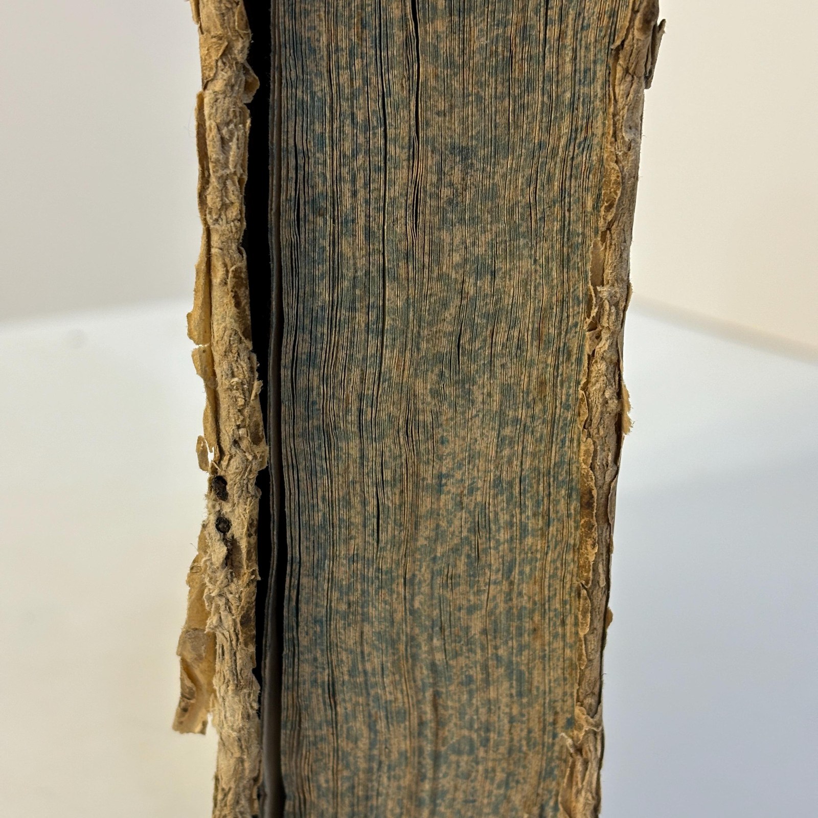Discorsi sacri Morali Adattati alla capacità d' ogni genere di persone Sopra le Domeniche dell' anno. Opera Di Gio. Battista Campadelli Sacerdote Padovano Dottore di Sacra Teologia,Pubblicata ad uso principalmente de' Parrochi di Villa Edizione Novissima. Aggiuntivi alcuni discorsi non più stampati. Translated: Sacred Moral Discourses Adapted to the understanding and capacity of every class of person, For the Sundays of the year. A work by Giovanni Battista Campadelli
A priest of Padua,
Doctor of Sacred Theology,
Published chiefly for the use of parish priests.
Newest Edition With the addition of several discourses not previously printed. — photograph 6.