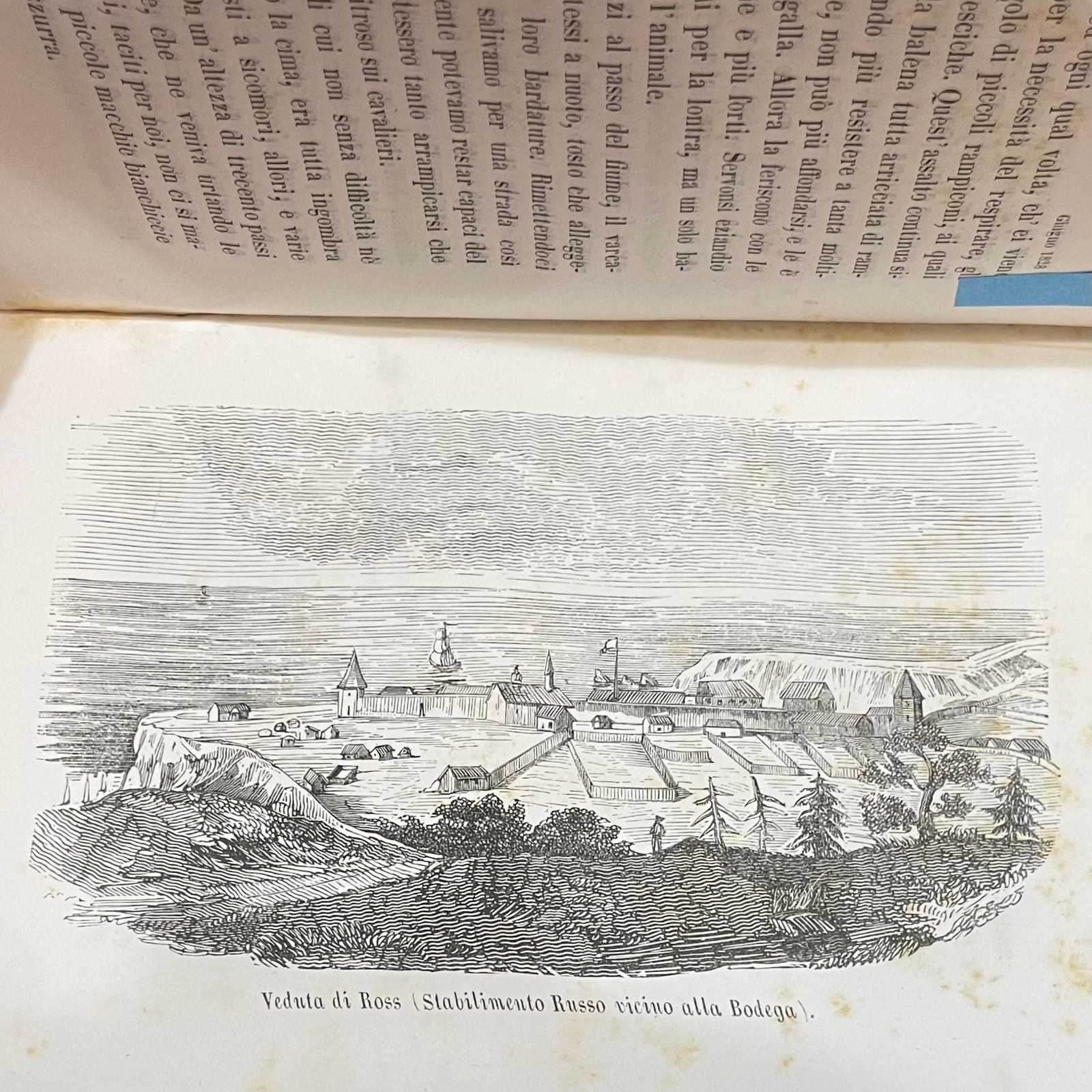 Viaggio Intorno al Globo alla California ed alle Isole Sandwich negli anni 1826, 1827, 1828 e 1829. GOOGLE TRANSLATION: Journey Around the Globe to California and the Sandwich Islands in the years 1826, 1827, 1828 and 1829. Translated from the French to Italian by Carlo Botta. — photograph 5.