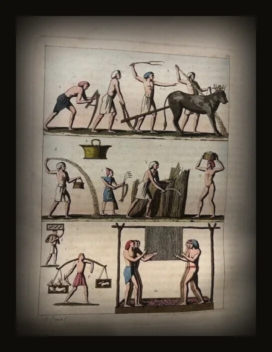 Il Costume Antico e Moderno o Storia  del governo, della milizia, della religione, delle arti, scienze ed usanze di tutti i popoli antichi e moderni, provata coi monumenti dell'antichità e rappresentata cogli analoghi disegni. GOOGLE TRANSLATION:  The Ancient and Modern Costume or History of the government, militia, religion, arts, sciences and uses of all ancient and modern peoples..