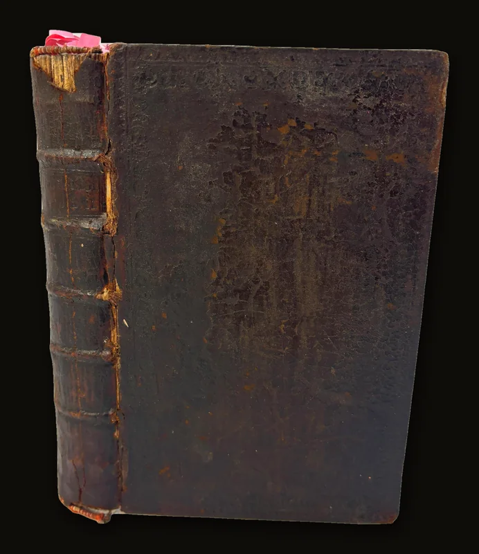 GREEK Old Testament [ESRA-MALACHI] [All Edges Platinum].