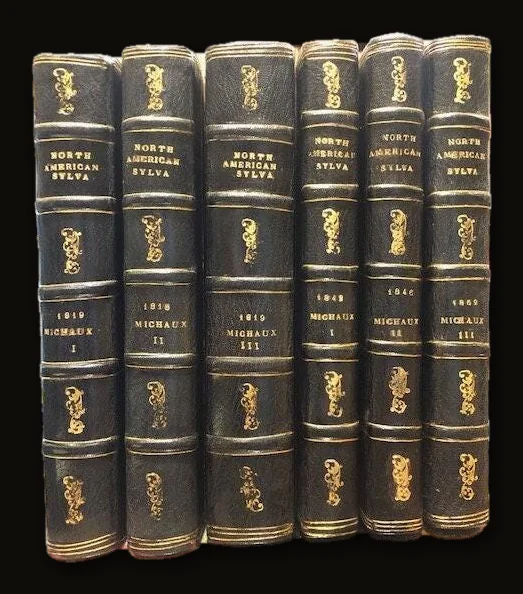 North American Sylva, or a description of the Forest Trees of the United States, Canada, and Nova Scotia, considered particularly with respect to their use in the Arts and their introduction into Commerce : to which is added a description of the most useful of the European Forest Trees. illustrated by 156 coloured engravings. Translated from the French of F. Andrew Michaux

Publication Dates:  1818, 1818, 1819          SEE  S.I.0947a.