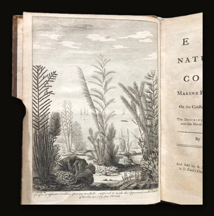 Essay Towards a Natural History of the Corallines, and Other Marine Productions of the like Kind Commonly found on the Coasts of Great Britain and Ireland. To which is added the Description of a large Marine Polype taken near the North Pole, by the Whale-fishers, in the Summer 1753..