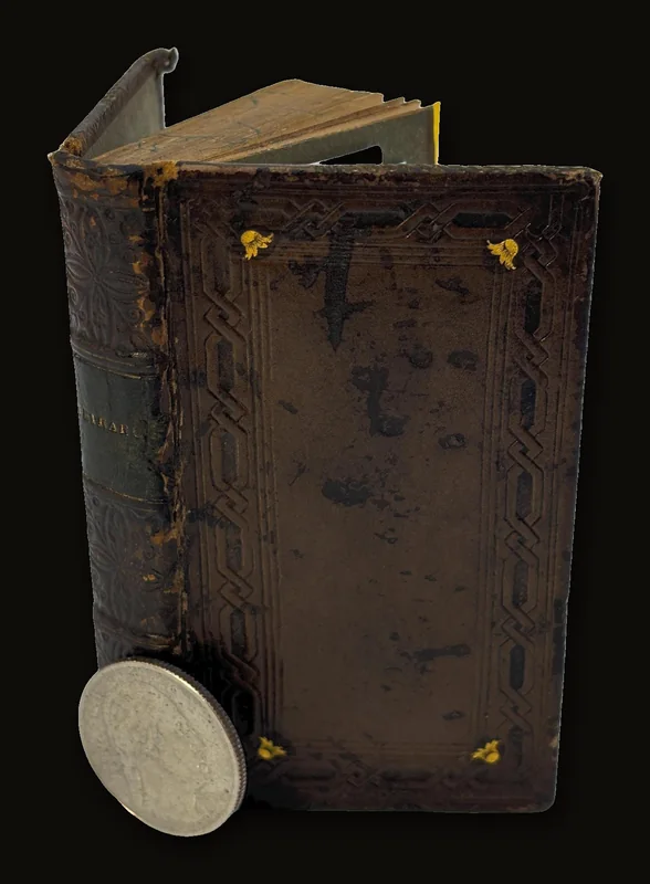 Le Rime Del Petrarca, Italian Language.