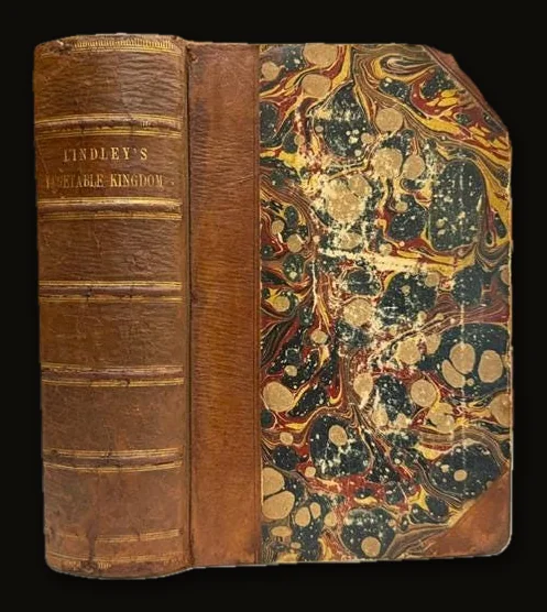 The Vegetable Kingdom; or, The Structure, Classification, and Uses of Plants, Illustrated Upon the Natural System. With Upwards of Five Hundred Illustrations. Third Edition, With Corrections and Additional Genera..