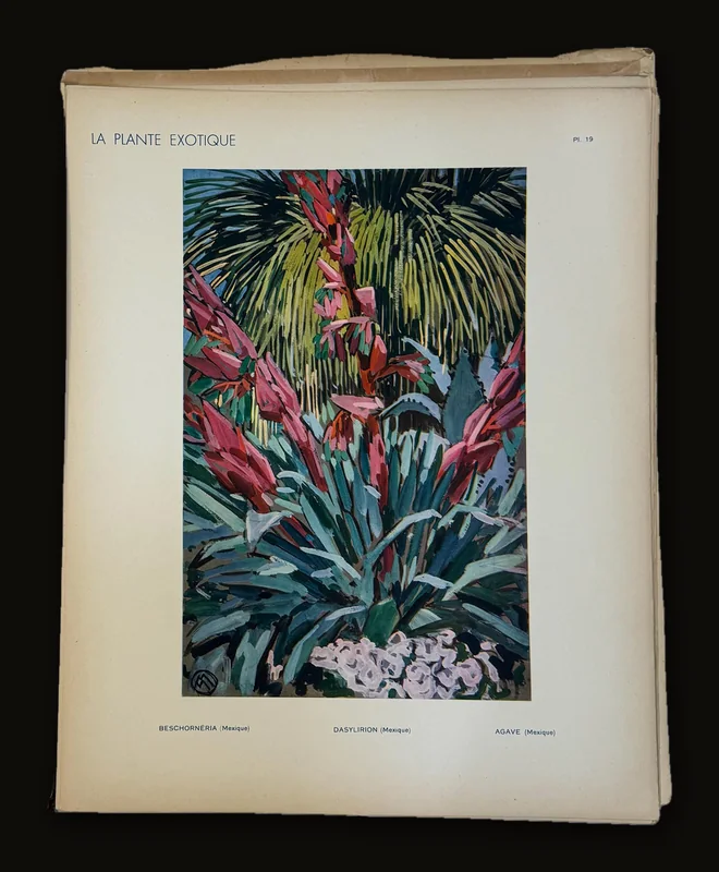 La Plante Exotique, Introduction par M.L. Plantefol.
