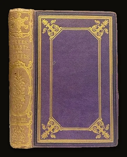 Trees, Plants, and Flowers: Their Beauties, Uses, and Influences. First Edition.