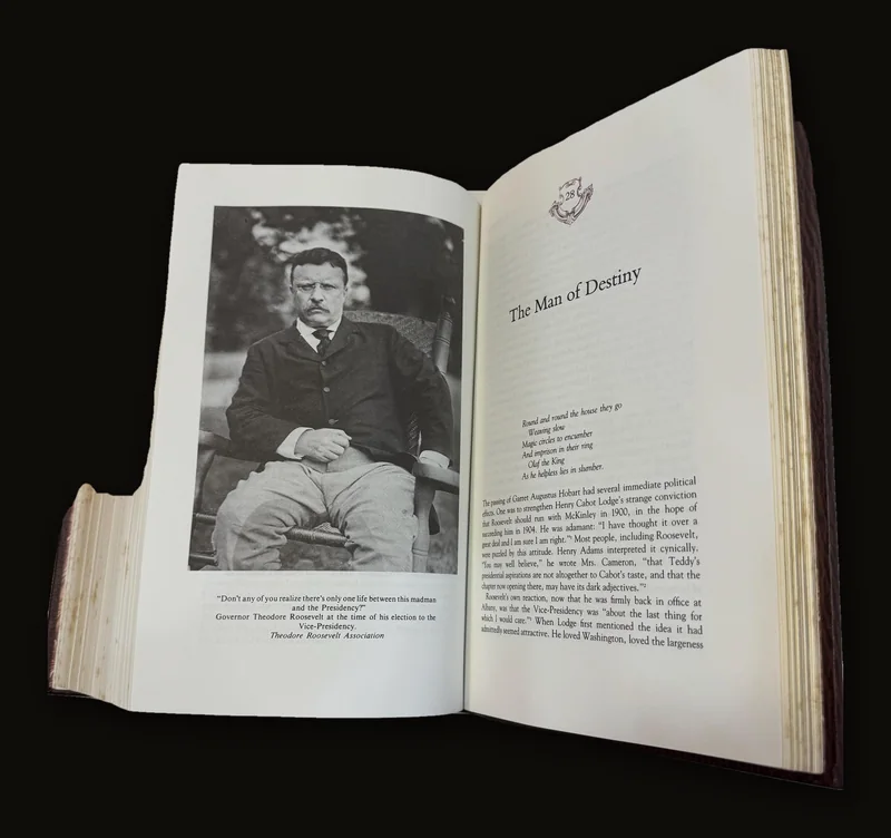 The Rise of Theodore Roosevelt by Edmund Morris, 1985.