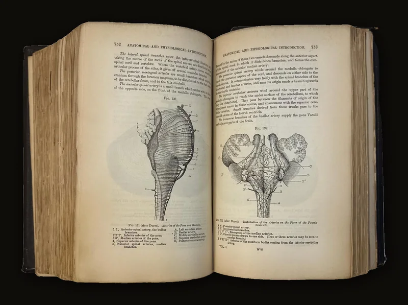 A Treatise on The Diseases of The Nervous System (Illustrated) by Dr. James Ross, 1883 | Second Edition, Revised & Enlarged.