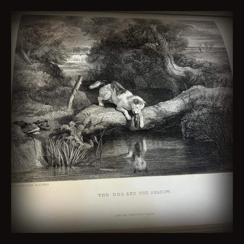 Landseer's Works Comprising Forty-Four Steel Engravings and about 200 Woodcuts From sketches in the collection of Her Majesty the Queen and other sources.