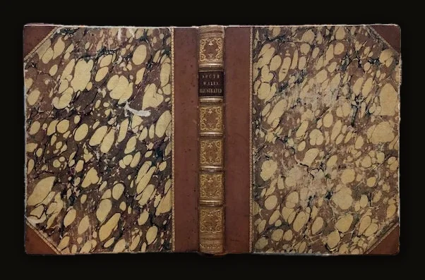 South Wales Illustrated, in a Series of Views, Comprising the Picturesque Scenery, Towns, Castles, Seats of the Nobility & Gentry, Antiquities, &c.; Engraved in steel From original drawings by Henry Gastineau. Accompanied by Historical and Topographical Descriptions..