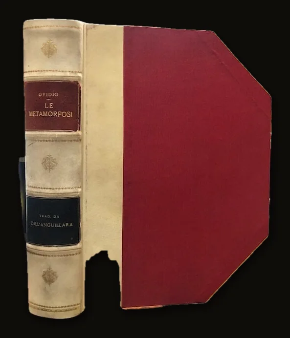 Le Metamorfosi de Ovidio tradotte da Giov. Andrea Dell' Anguillara. ... Ornate di stampe litografiche. [The Metamorphoses of Ovid translated by John Andrea Dell 'Anguillara. ... Decorated with lithographic prints.].