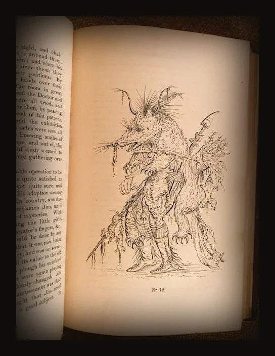 Catlin's Notes of Eight Years' Travels and Residence in Europe, with his North American Indian Collection.  With Anecdotes and Incidents of the Travels and Adventures of Three different parties of American Indians whom he introduced to the courts of England, France, and Belgium..