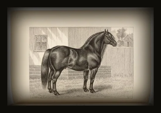 The Breeds of Live Stock, and the Principles of Heredity.