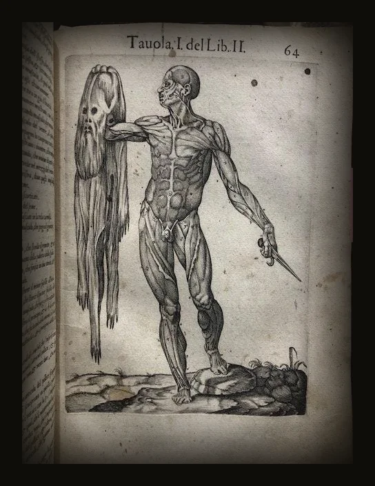 Anatomia del Corpo humano Composta per M. Giouan Valverde di Hamusco, & da luy con molte figure di rame, et cruditi discorsi in-luce mandata. (trans. from Italian: Anatomy of the Human Body Composed for M. Giouan Valverde of Hamusco, & from suy with many copper figures, et cruditi speeches in-light sent.).