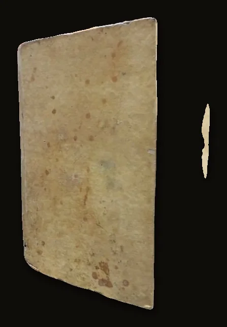 Nouveau Guide du Voyageur En Italie (trans.  French: New Traveller's Guide To Italy).