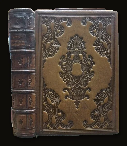 Star Papers; or, Experiences of Art and Nature.