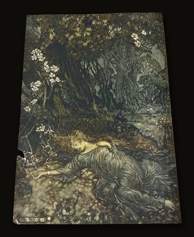 A Midsummer-Night's Dream.
