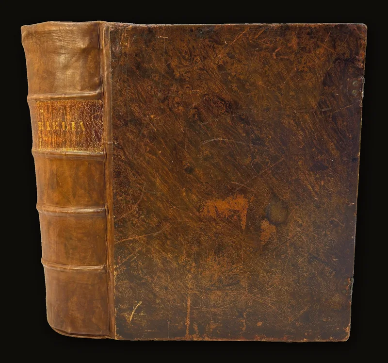 German: Bible, That Is The Whole Scripture of The Old and The New Testaments After The German Translation D. Martin Luthers; With Brief Summaries of Each ChapterAlso Attached Many New Corrected Parallels, And Provided With 40 Excellent Pictorial Ideas..