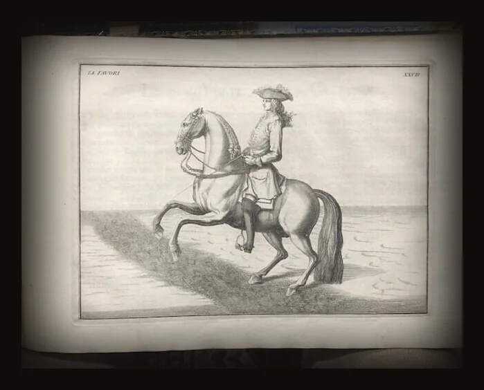 Description du Manége Moderne. Dans sa Perfection, Expliqué par des leçons necessaires, et representé par des figures exactes, depuis l'assiette de l'homme à cheval, jusqu'à l'arrest accompagné aussi de divers mords pour bien brider les chevaux, ecrit et dessiné par le baron D'Eisenberg, et gravé par B. Picart.  TRANSLATION:  "Description of Modern Horsemanship. In its Perfection, Explained through necessary lessons, and depicted by accurate figures, from the rider's position on horseback to the halt, also accompanied by various bits for properly bridling horses, written and illustrated by Baron D'Eisenberg, and engraved by B. Picart.".