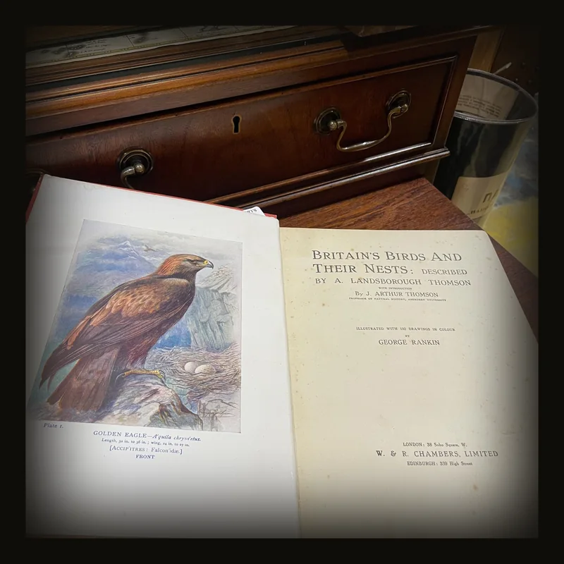Britain's Birds and Their Nests: Described by A. Landsborough Thomson with Introduction by J. Arthur Thomson. Illustrated with 132 Drawings in Color by George Rankin.