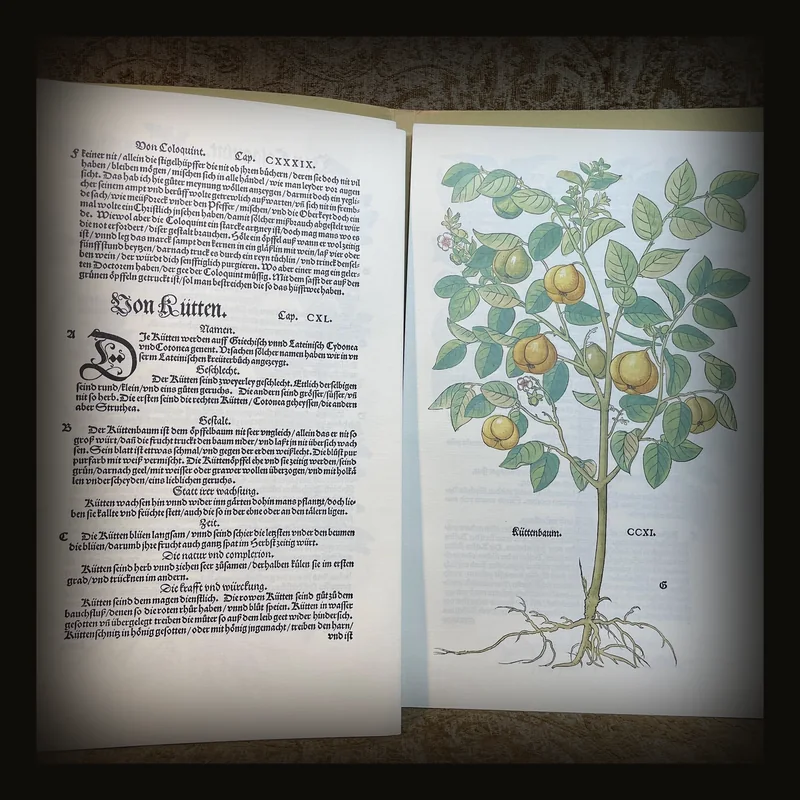 New Kreuterbuch Im Jar MDXLIII,  Dokumentation zur Faksimileausgabe. Translated: New Herbal Book in the Year 1543, Documentation for the Facsimile Edition..