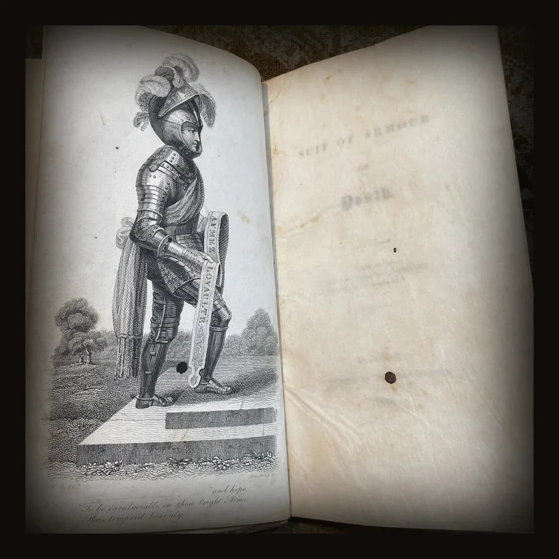 A Suit of Armour for Youth.