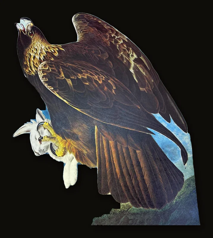 The Original Water-Color Paintings for The Birds of America. Reproduced in Color for The First Time from the Collection at The New-York Historical Society, Introduction by Marshall B. Davidson (2 volumes in slipcase..