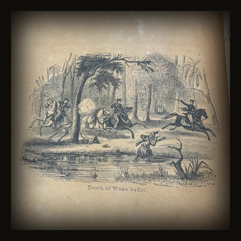 The Exiles of Florida: or, The Crimes Committed by our Government against the Maroons, who Fled from South Carolina and Other Slave States, Seeking Protection Under Spanish Laws..
