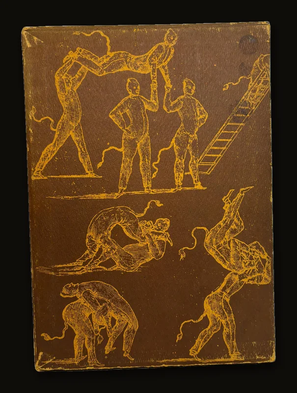 New and Curious School of Theatrical Dancing. A Facsimile of The Original Drawings in The Bavarian State Library, Munich. A Limited Edition of 1500 Copies.