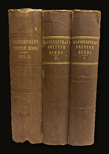 A History of British Birds, Indigenous and Migratory: Including Their organization, Habits, and Relations; Remarks on Classification and Nomenclature; An Account of The Principal Organs of Birds, and Observations Relative to Practical Ornithology. Illustrated by Numerous Engravings..