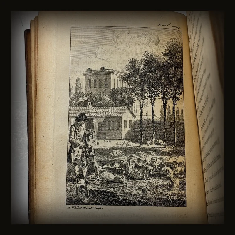 [Two books bound as one.] The Chase. A Poem. The Fifth Edition. ---AND--- Hobbinol, Or The Rural games. A Burlesque Poem, In Blank Verse. Fifth Edition..