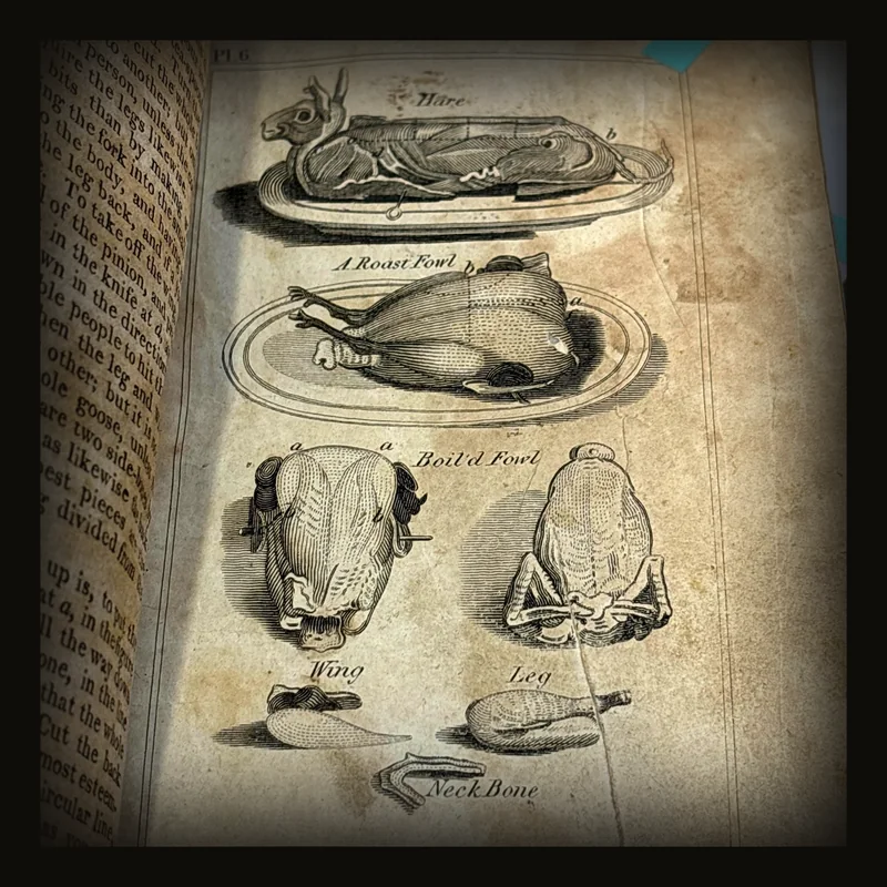 American Domestic Cookery, Formed on Principles of Economy, for The use of Private Families. Illustrated with Nine Engravings. (4 of 9 engravings, lacking plates 1, 2, 3, 8, and 9) rare First Edition..