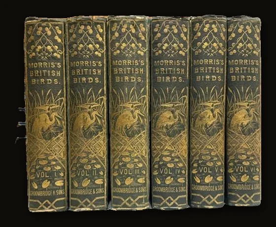 A History of British Birds, Containing Sixty Coloured Engravings. (6 volumes, 358 hand-colored plates).