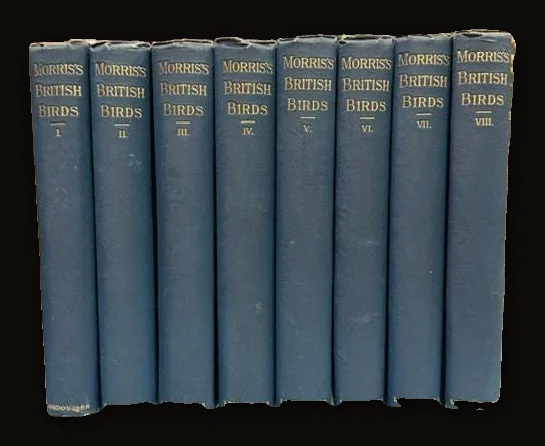A History of British Birds, Containing Forty-Three Coloured Engravings (8 volumes, 358 hand colored plates).