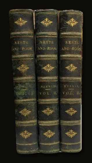 A Natural History of The Nests and Eggs of British Birds, Second Edition, 3 Vol..