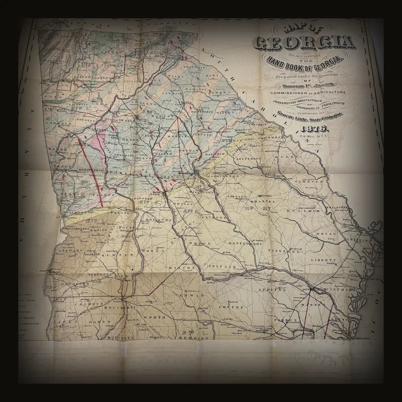 Hand-Book of The State of Georgia Accompanied by a Geological Map of The State.